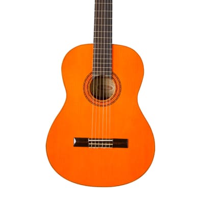 Washburn C5 Classical Series Acoustic Guitar image 4