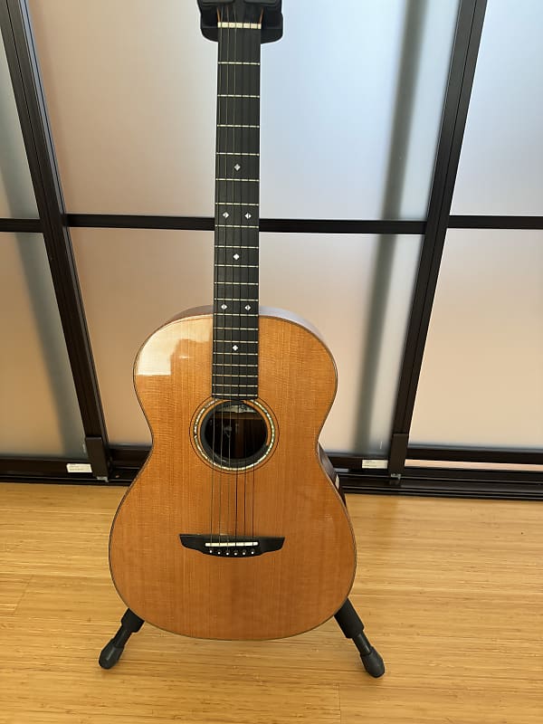 Goodall 2024 parlor guitar