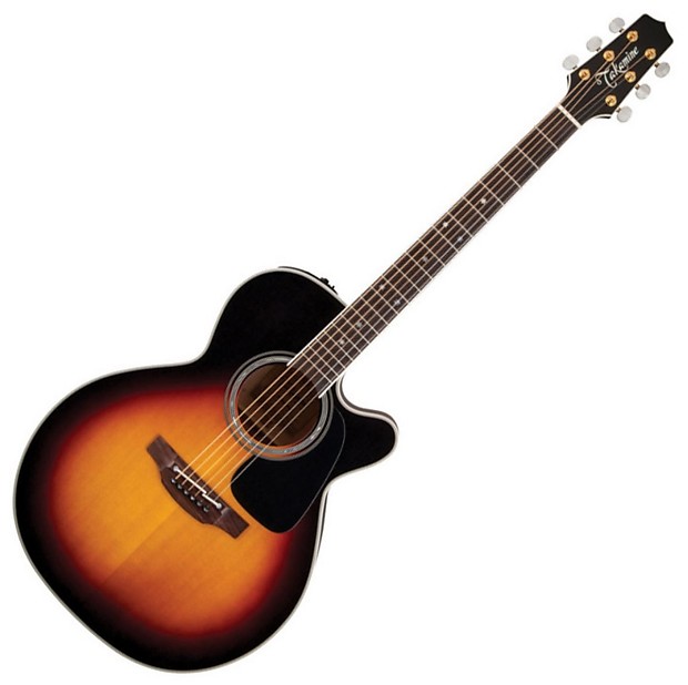 Takamine P6NC Acoustic Guitar (P6NC) image 1