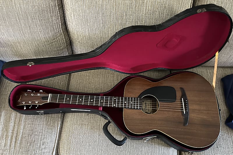 Takamine No. 250 1960s - VERY RARE - Satin / Gloss | Reverb