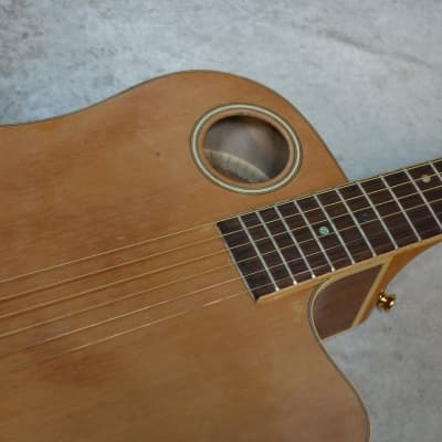 Boulder Creek ECDG-3N acoustic electric guitar image 10