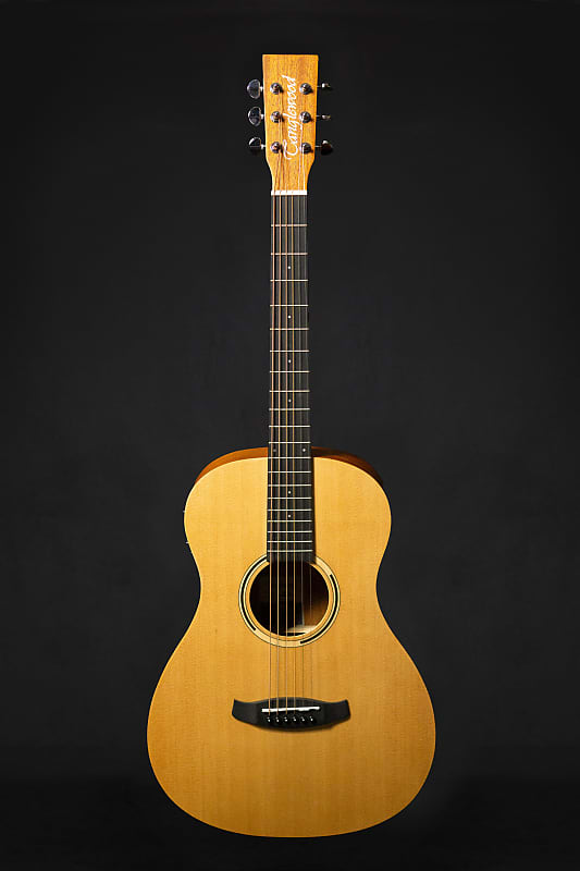 Tanglewood TWR2 PE Electro-Acoustic Guitar image 1