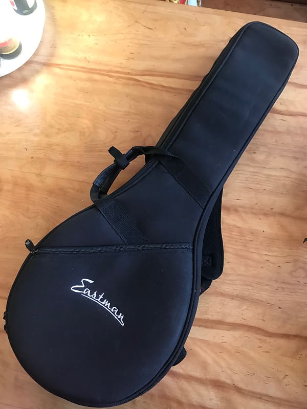 Eastman octave mandolin gig bag Reverb