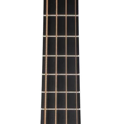 Martin BC16E Rosewood 16 Series With Case image 8
