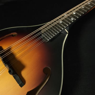 Eastman MD305E-SB A Style Mandolin with Pickup and Bag image 9