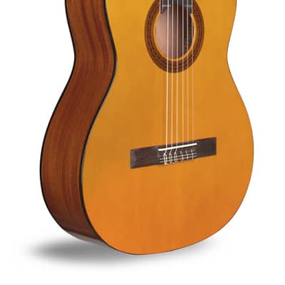 Cordoba Protege C1 - Full Size Classical Guitar - 650mm Scale Length - Spruce image 3