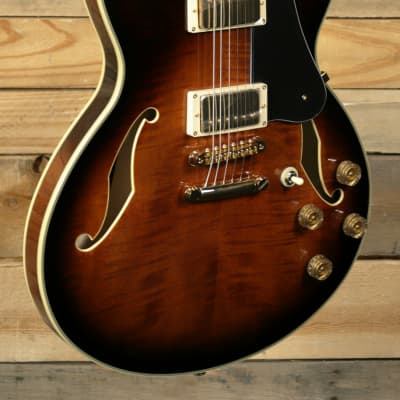 Ibanez John Scofield Signature JSM100 Hollowbody Guitar Vintage Sunburst w/ Case image 1
