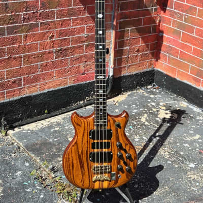 Alembic Series II Bass 1980 ultra rare all original Stanley Clarke Zebrawood Series II Short Scale its $39,800. new !! image 2