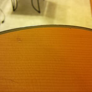 Takamine E30 1989 Acoustic Electric Classical Nylon Vintage Natural image 17