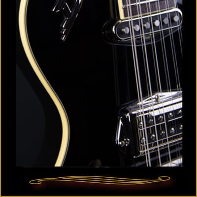Duesenberg Mandola 12-String in Black image 2