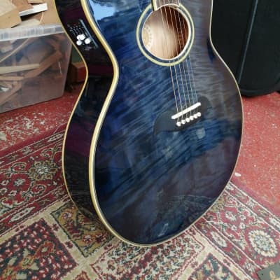 Aria Elecord FET DLX | Reverb