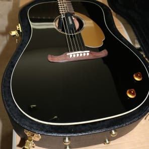 Fender Tom Petty Kingman - Limited Edition 2014 image 2