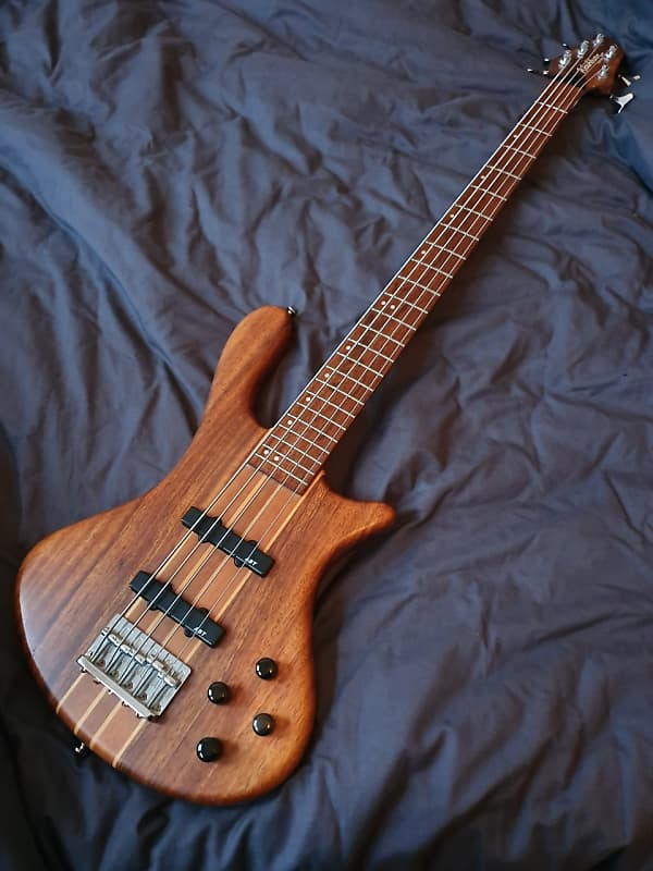 Washburn Taurus T25, 5 String | Reverb
