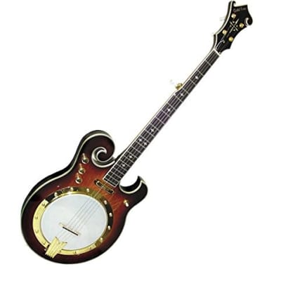 Gold Tone EBM-5 Electric Banjo (Five String, Tobacco Sunburst) image 6
