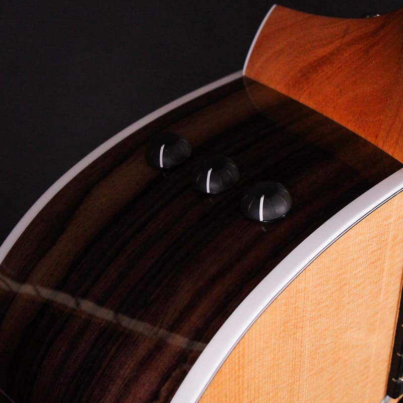 Taylor 214ce Deluxe Acoustic Electric Guitar Rosewood Back
