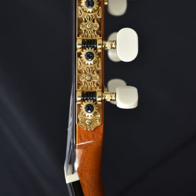 Jose Ramirez 125 Anos anniversary cedar-top all-solid wood classical guitar image 6
