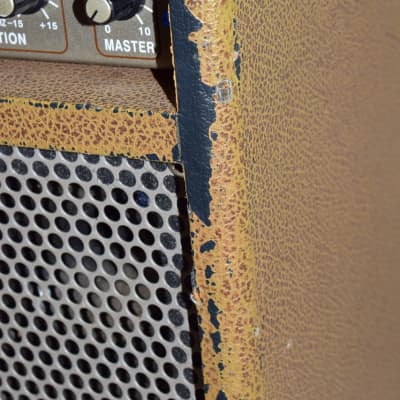 Genz Benz Shenandoah 100 Acoustic Guitar Amplifier image 12