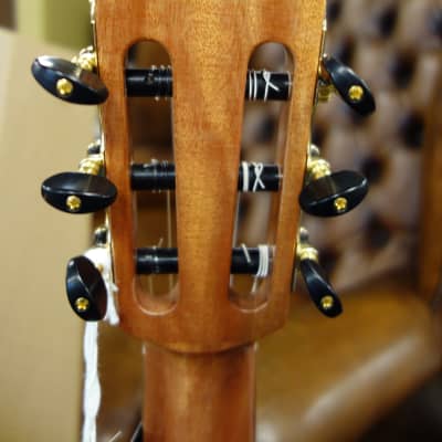 Martinez MC48C Junior 3/4 Classical guitar Ceder Top, mahogany B&S image 6