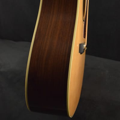 Gallagher G-65 Dreadnought Sitka Spruce/Indian Rosewood image 7