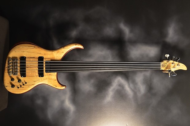 Alembic Custom CLB5 Fretless 5 String With LEDs