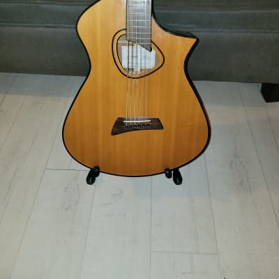 Avante AV2 Baritone Acoustic Guitar w/new pack of Elixir strings and hardshell case image 21