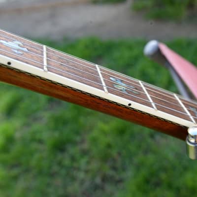 Capek Scarab five string (flathead + archtop tone ring) image 5