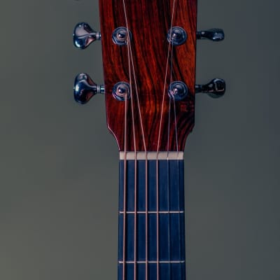 Mayson Duke Custom Acoustic Guitar - Grand Auditorium Cutaway w/ LR Baggs Anthem (MASTERBUILD) image 7