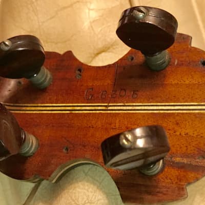 John Grey Custom Brazilian Rosewood resonator Five string banjo 1920,s image 12