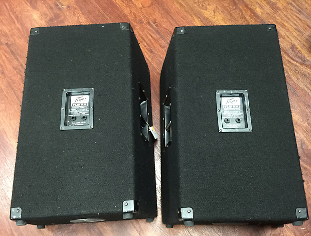 Peavey TLS 2X 2 Way 12