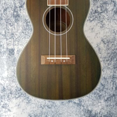 Adam Black Mahogany Electro Concert Ukulele - Pre-Loved (Great Condition) image 1