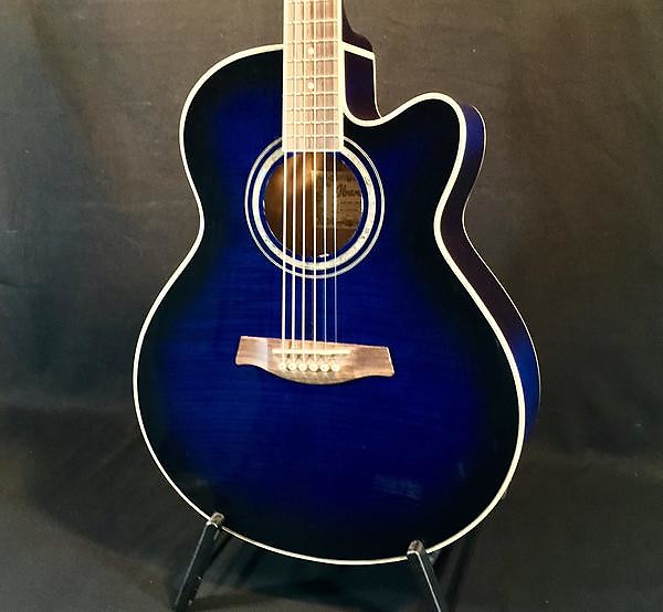 Ibanez store ael20e price