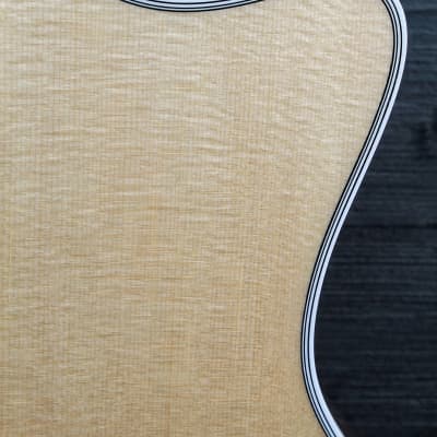 Taylor T5 Standard (Full Size T5) Natural Spruce Top - Authorized Online Dealer image 20