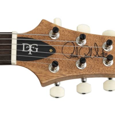 Paul Reed Smith Wood Library Dave Grissom DGT Platinum Metallic Satin Finish Brazilian Fingerboard image 4
