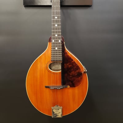 Gibson A-40 N A style Mandolin 1968 Natural | Reverb