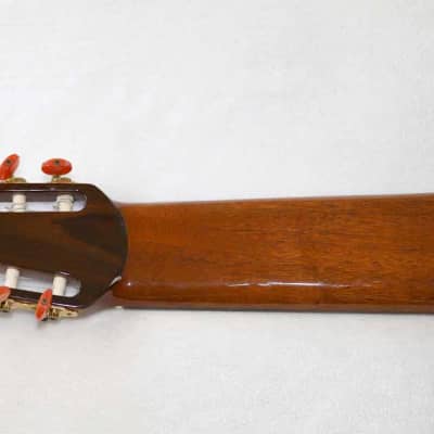 Bartolex SLC10CEL Classical 10-String Harp Guitar, w/Pickup, Cutaway, Sound Port, w/Softshell Case image 7
