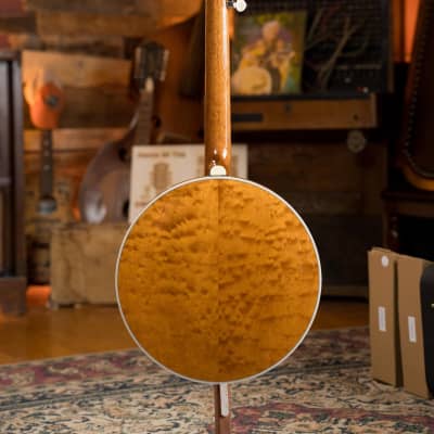 Deering Tony Trischka Silver Clipper Resonator Banjo w/Spikes Installed at 7, 8, 9, and 10 #0100 image 10