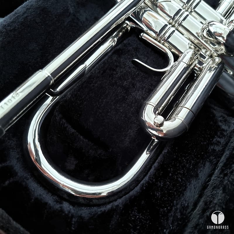 Professional Holton T101B Symphony trumpet GAMONBRASS case Professional Holton T101B Symphony trumpet GAMONBRASS case