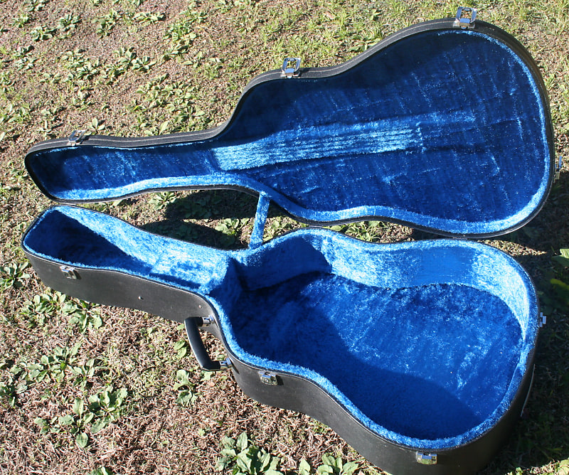 Morris TF-60 Brazilian Rosewood Guitar 1980s Natural | Reverb