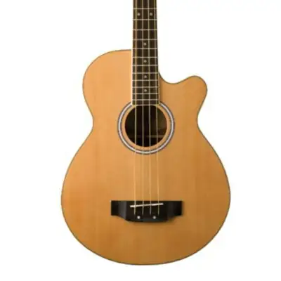 Washburn AB5 Cutaway Acoustic Electric Bass Guitar. Natural for sale