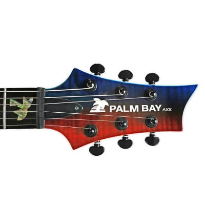 Palm Bay Guitars - Avalanche AXX Custom EMG + case image 2