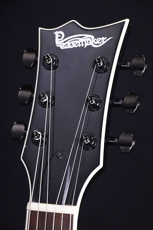 ギター ESP×PEACE MAKERコラボ PM-108VP - 楽器/器材