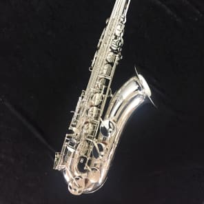 Stephanhouser cheap alto saxophone