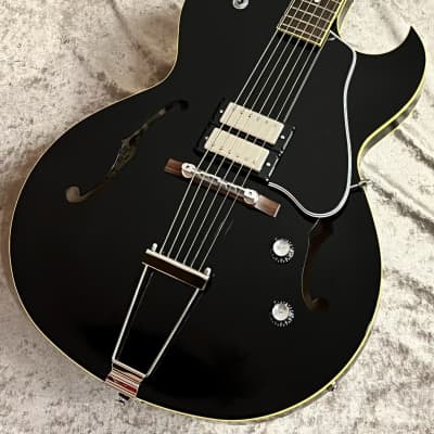 King Snake [USED] Black Bear Black [GTK017] | Reverb