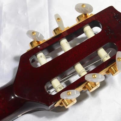 Gibson Chet Atkins CE Wine Red image 6