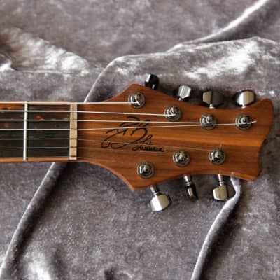 Gb Liuteria Plié 7 string - Semi hollow - Boutique image 3