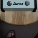 Ibanez ES2 Echo Shifter