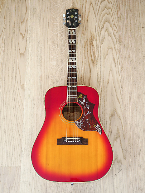 Lyle hummingbird guitar top