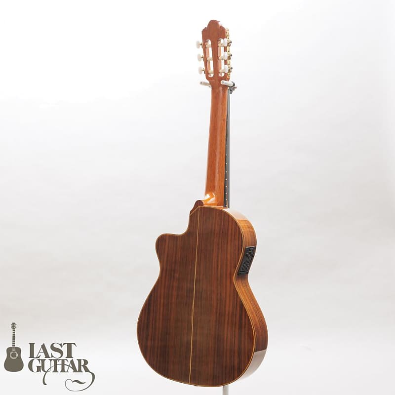 ANTONIO SANCHEZ EG-5 エレアコ アコースティックギター eg7_spr_side.jpg