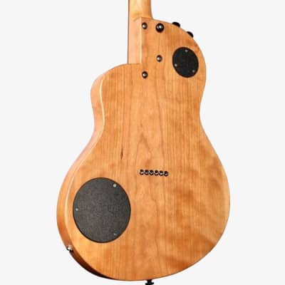 Rick Turner Renaissance RS6 Cherry Special #5910 image 4