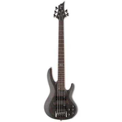 ESP LTD B-205SM 5-String Bass (Used/Mint) image 2
